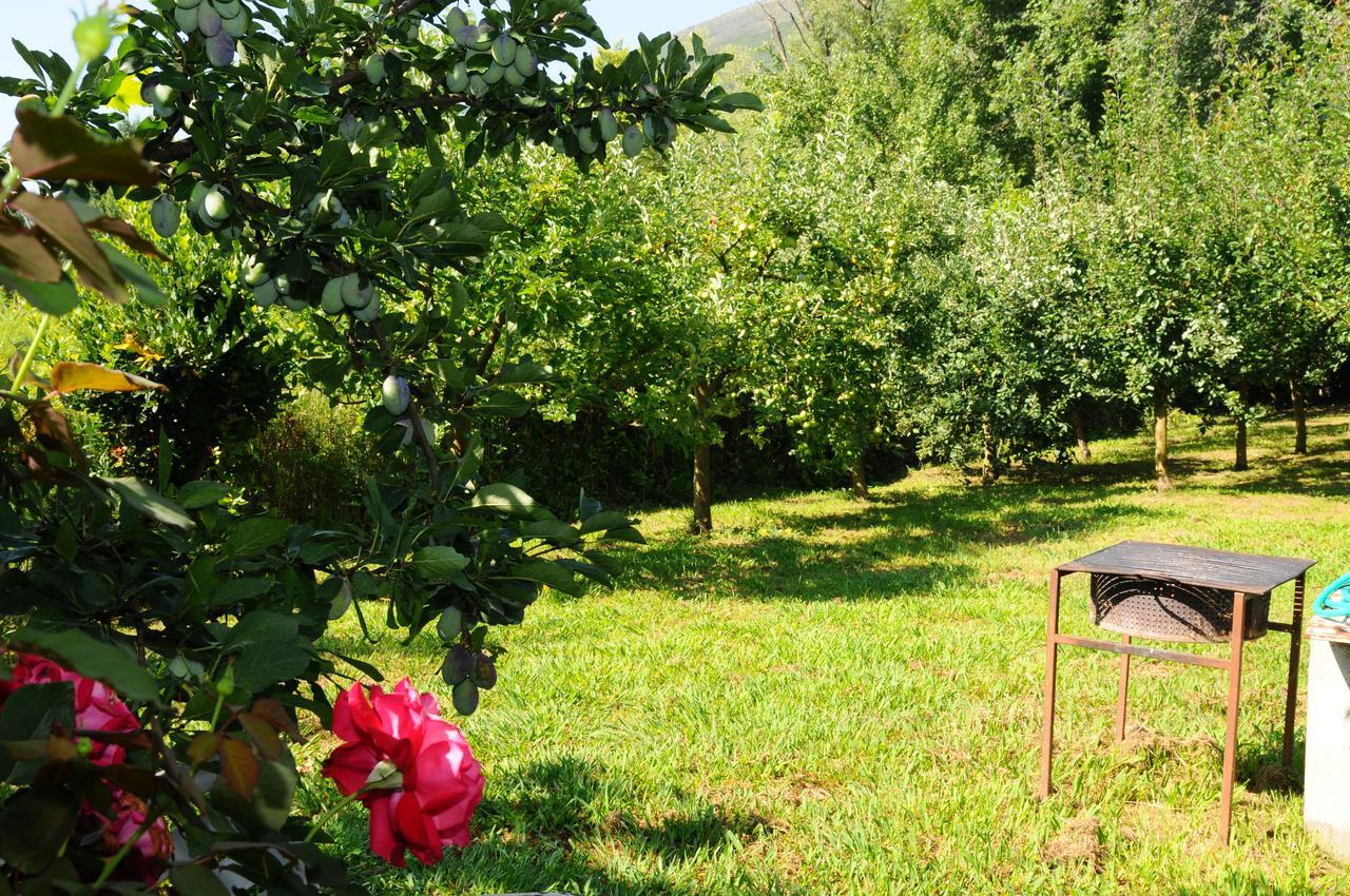 Guest House Markovic Budva Luaran gambar
